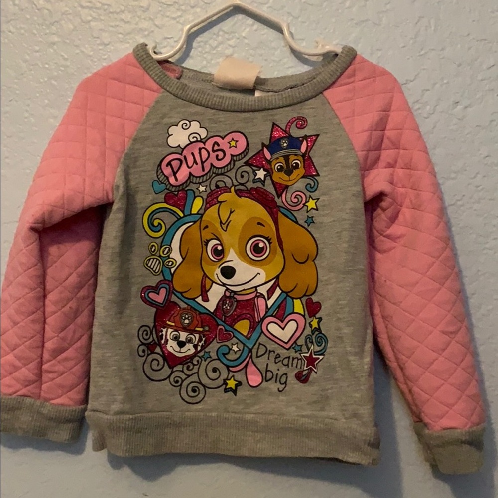 Paw patrol Skype sweatshirt 2t